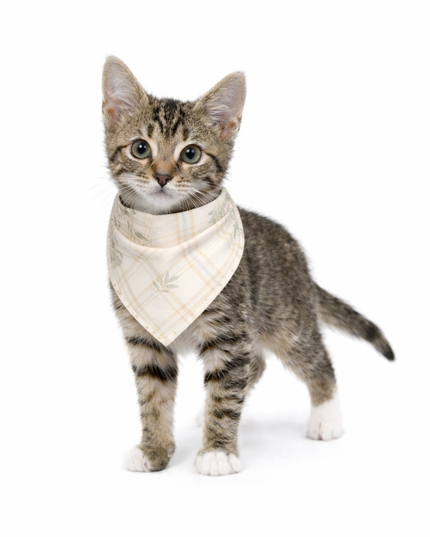 Cream Plaid Bamboo Pet Bandana