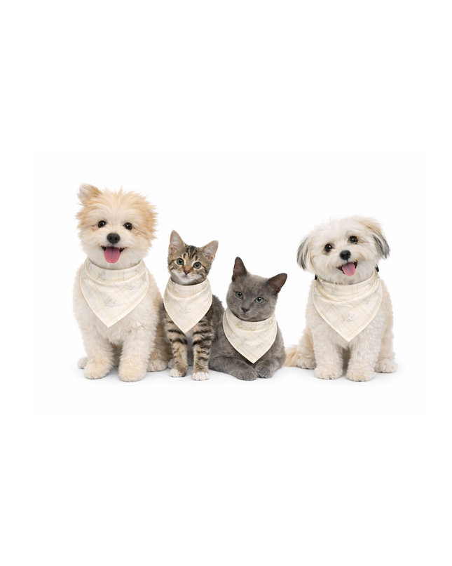 Cream Plaid Bamboo Pet Bandana