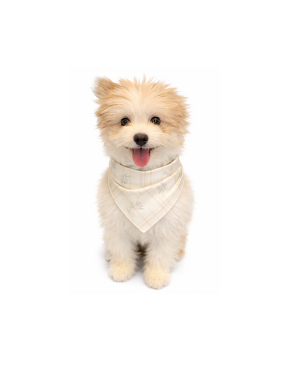 Cream Plaid Bamboo Pet Bandana